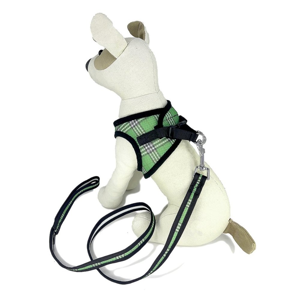 Green Plaid Mesh Harness & Leash Set